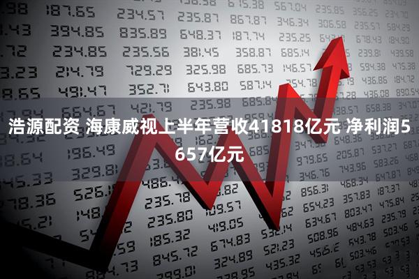 浩源配资 海康威视上半年营收41818亿元 净利润5657亿元