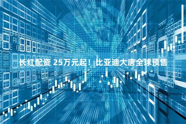 长红配资 25万元起！比亚迪大唐全球预售